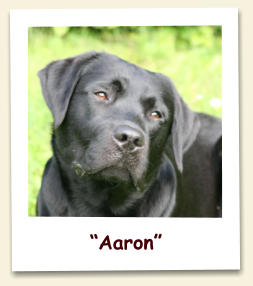 “Aaron”