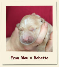 Frau Blau = Babette